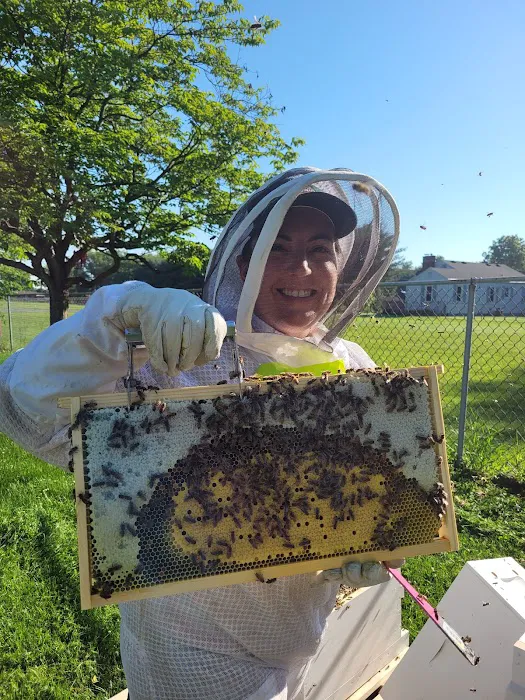 My Bee Supply LLC Picture 2