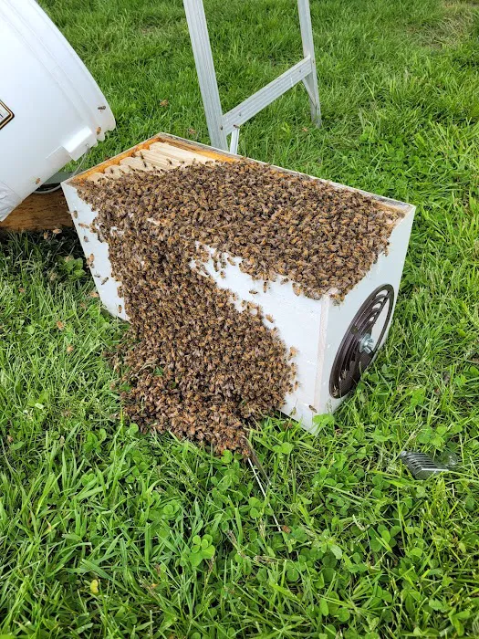 My Bee Supply LLC Picture 1