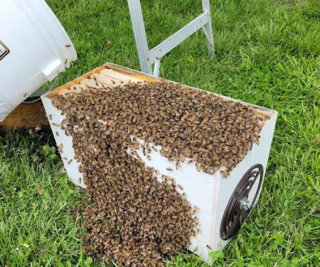 My Bee Supply LLC