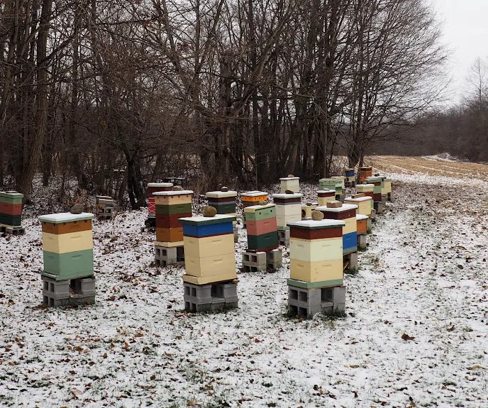 My Bee Supply LLC Picture 10
