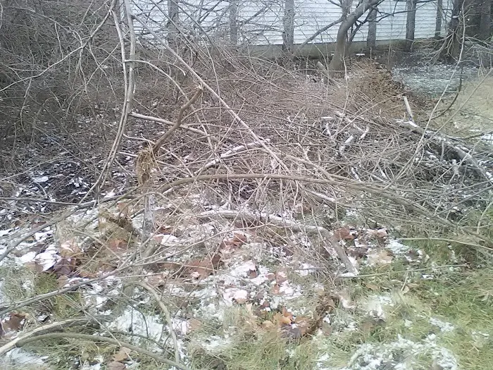 Paul's Exterminating Inc. Picture 4