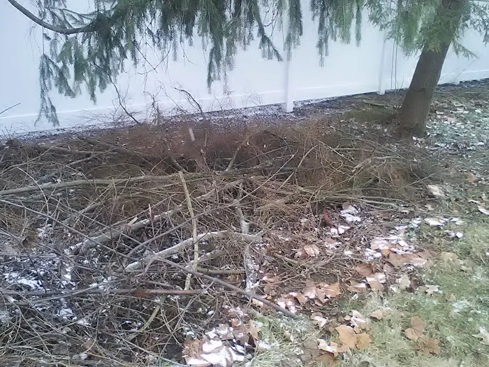 Paul's Exterminating Inc. Picture 3