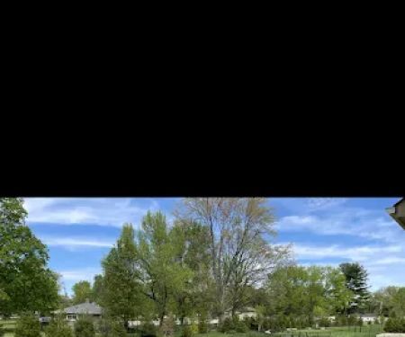 CJ’s Lawn and Turf