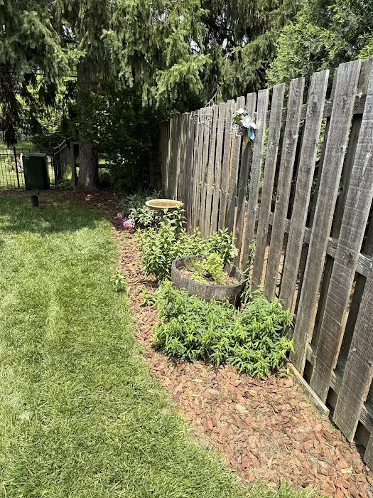 CJ’s Lawn and Turf Picture 8