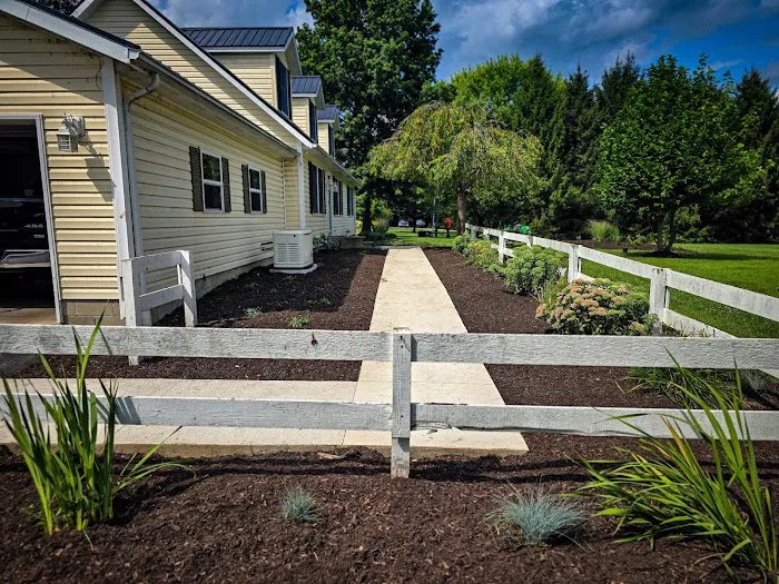 CJ’s Lawn and Turf Picture 3