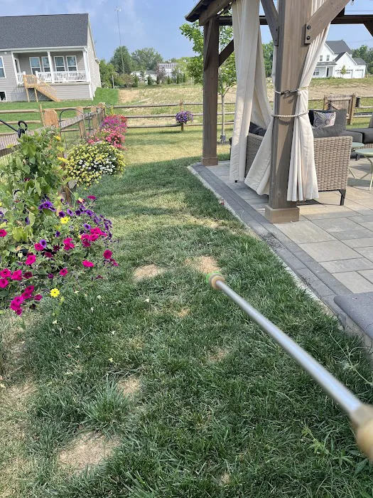 Aptive Pest Control Picture 10
