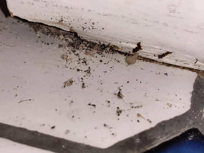 Plunkett's Pest Control Picture 1