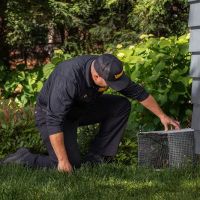 Varment Guard Wildlife Services ico