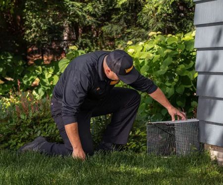 Varment Guard Wildlife Services