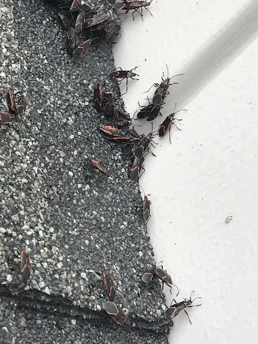 Perdue Exterminators Picture 7