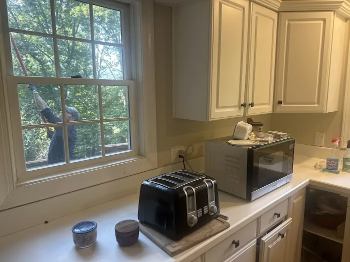 Evergreen Pest Solutions Picture 5