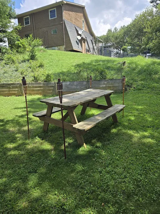 Evergreen Pest Solutions Picture 9