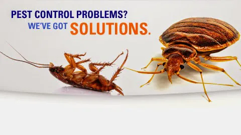 Quality Control Exterminating Picture 1