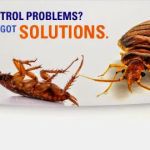 Quality Control Exterminating