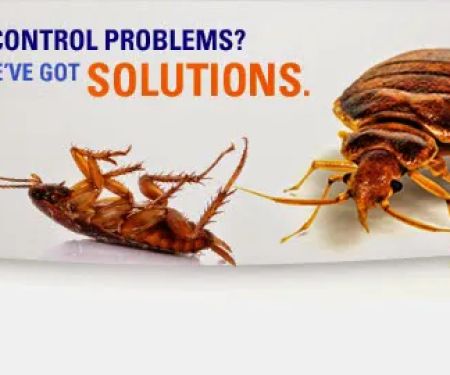 Quality Control Exterminating