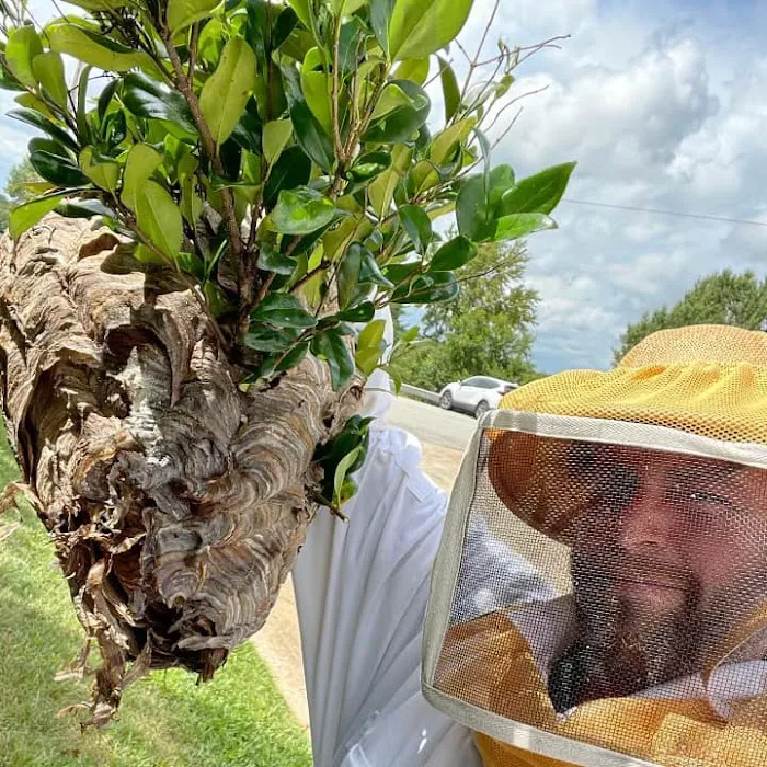 Four Seasons Pest Control Inc Picture 6