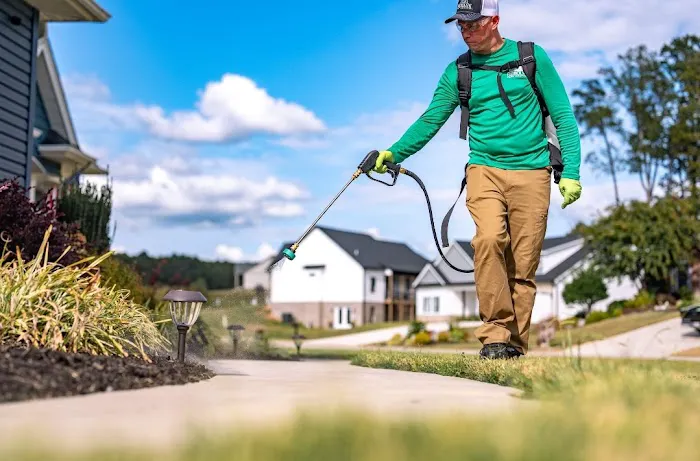 Resolve Pest Control Picture 4