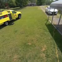 Dodson Pest Control ico