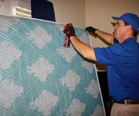 Capital Pest Services Inc