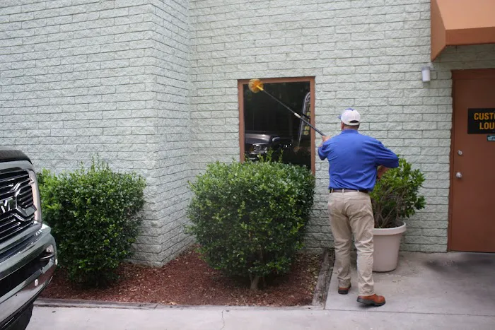 Capital Pest Services Inc Picture 5