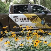 Economy Exterminators ico