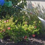 Empire Pest Control Inc. NC