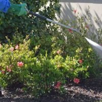 Empire Pest Control Inc. NC ico