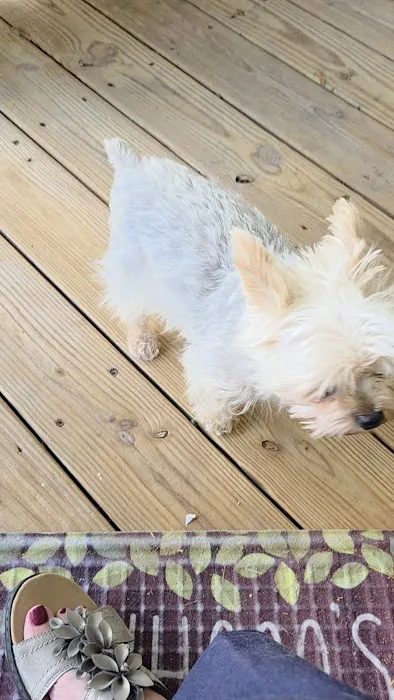 Kil Mor Pest Management Picture 1