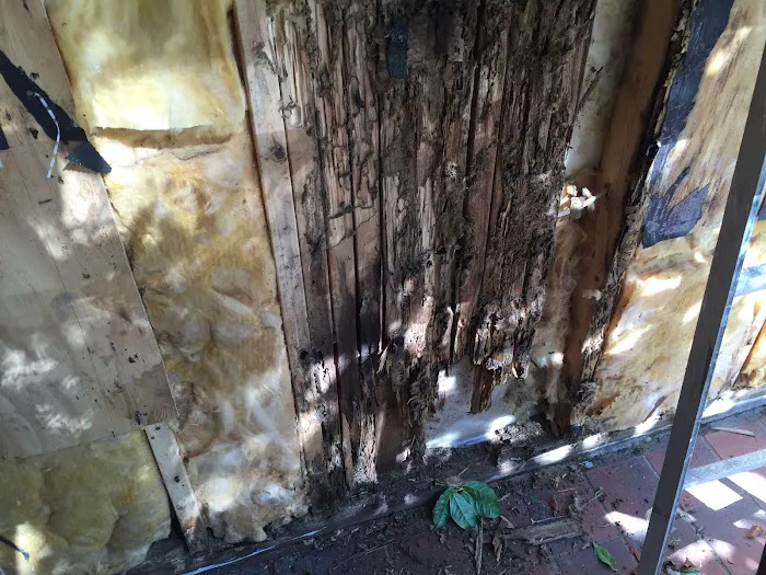 Kil Mor Pest Management Picture 9