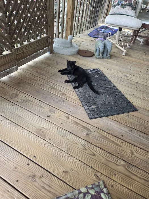 Kil Mor Pest Management Picture 7