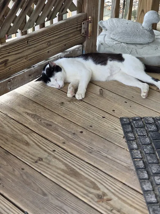 Kil Mor Pest Management Picture 5