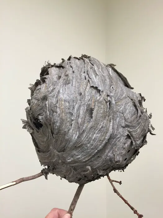 Kil Mor Pest Management Picture 6