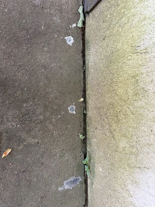 Clegg’s Termite & Pest Control - Durham Picture 8