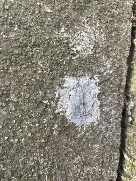 Clegg’s Termite & Pest Control - Durham Picture 5