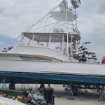 Clegg’s Termite & Pest Control - Durham