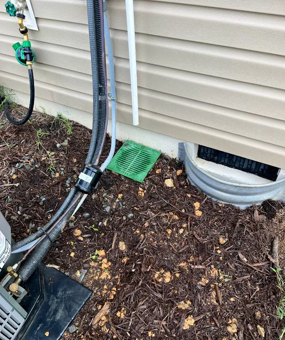 TruX Pest Control Picture 8