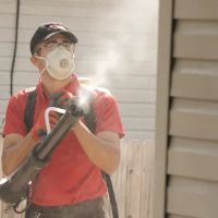 Go-Forth Pest Control ico