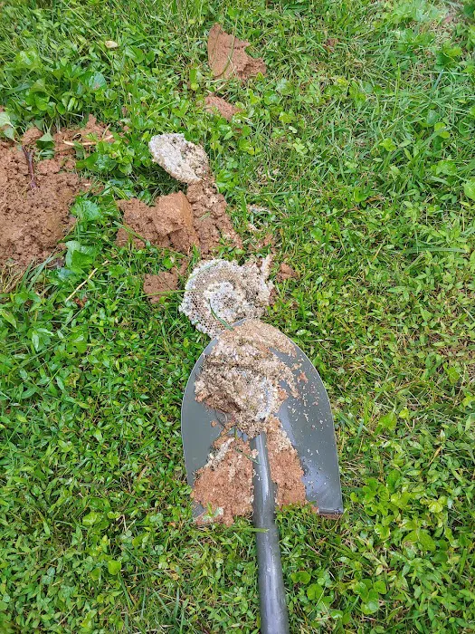 Moxie Pest Control Picture 10