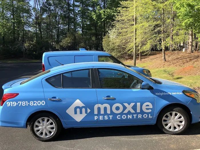 Moxie Pest Control Picture 9