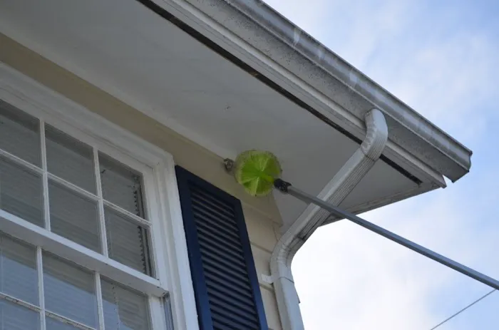 Moxie Pest Control Picture 7