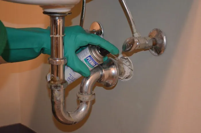 Moxie Pest Control Picture 5