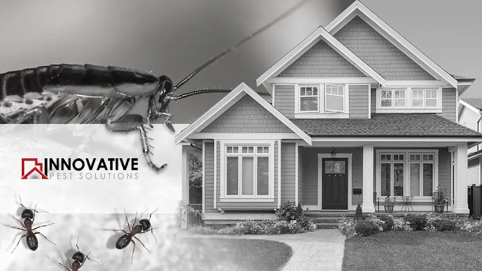 Innovative Pest Solutions Picture 5