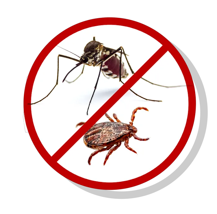 All Natural Pest Away Picture 4