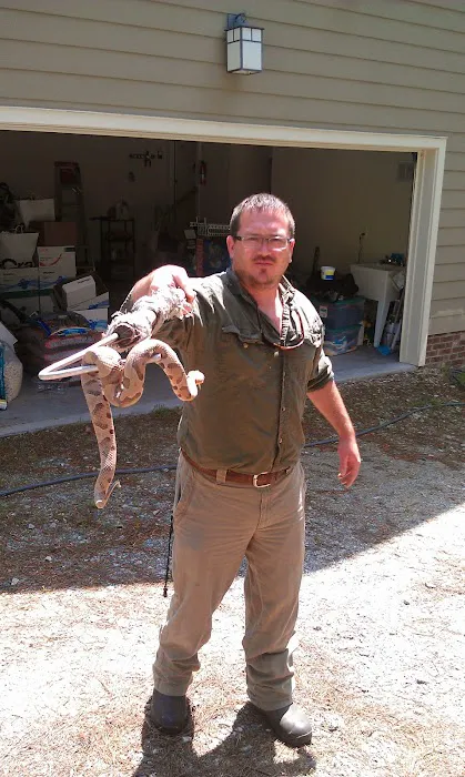 Carolina Wildlife Removal Picture 1