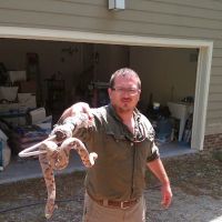 Carolina Wildlife Removal ico