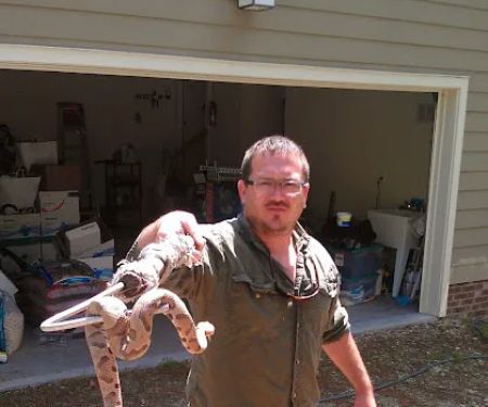 Carolina Wildlife Removal
