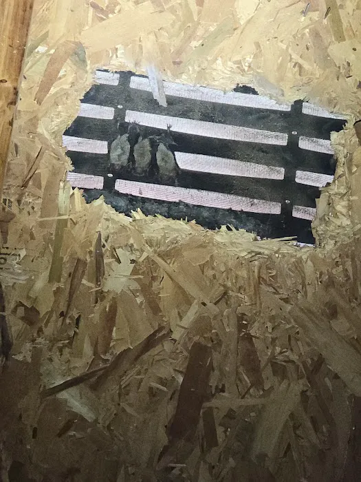 Carolina Wildlife Removal Picture 6
