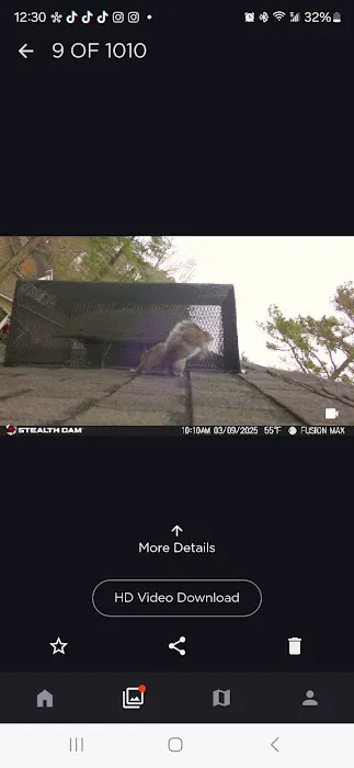 Carolina Wildlife Removal Picture 5