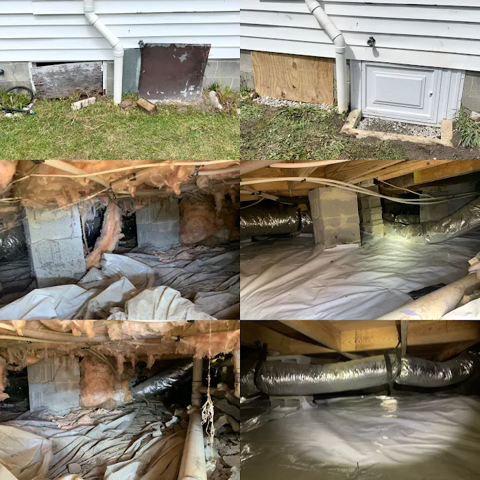 Canady's Termite & Pest Control Picture 9