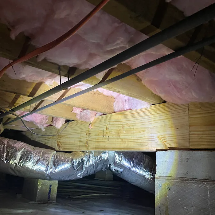 Canady's Termite & Pest Control Picture 8